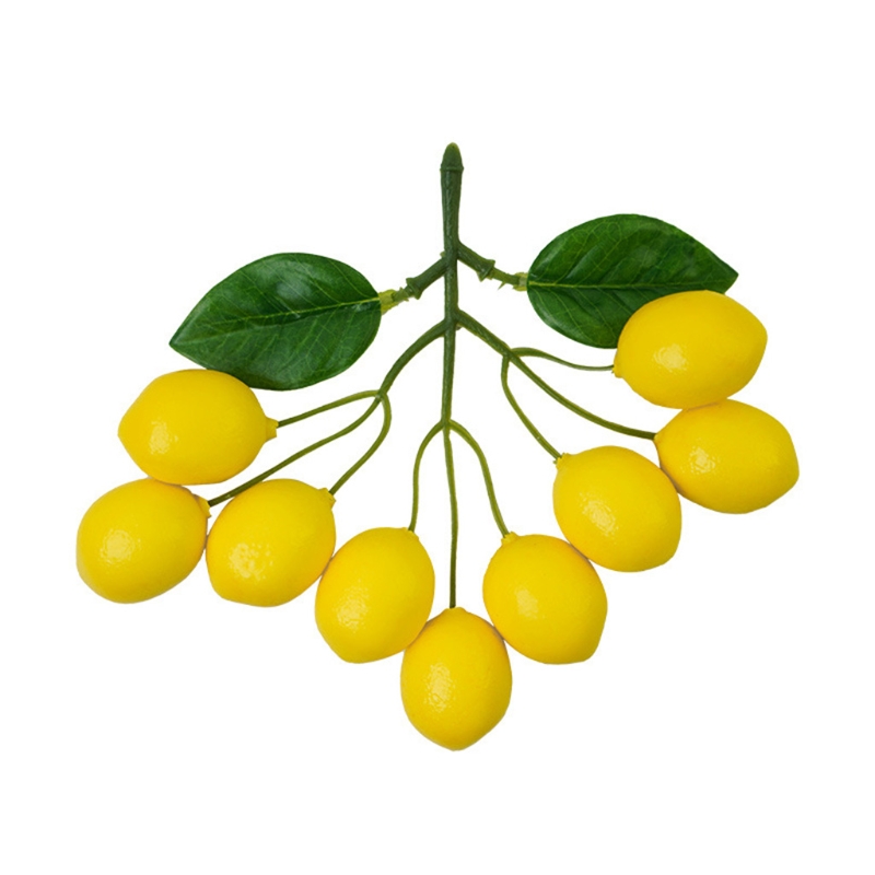 Искусственные лимонные ветки,  – обзор и цена Photography Yellow